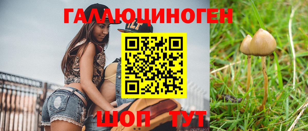 Губаха  Галлюциногенные грибы ЛСД  Вход с VPN  Галлюциногенные грибы мицелий 